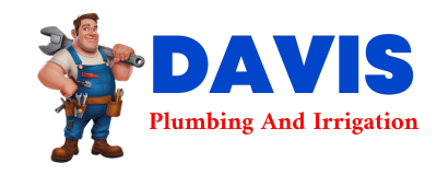 Trusted plumber in ALGER